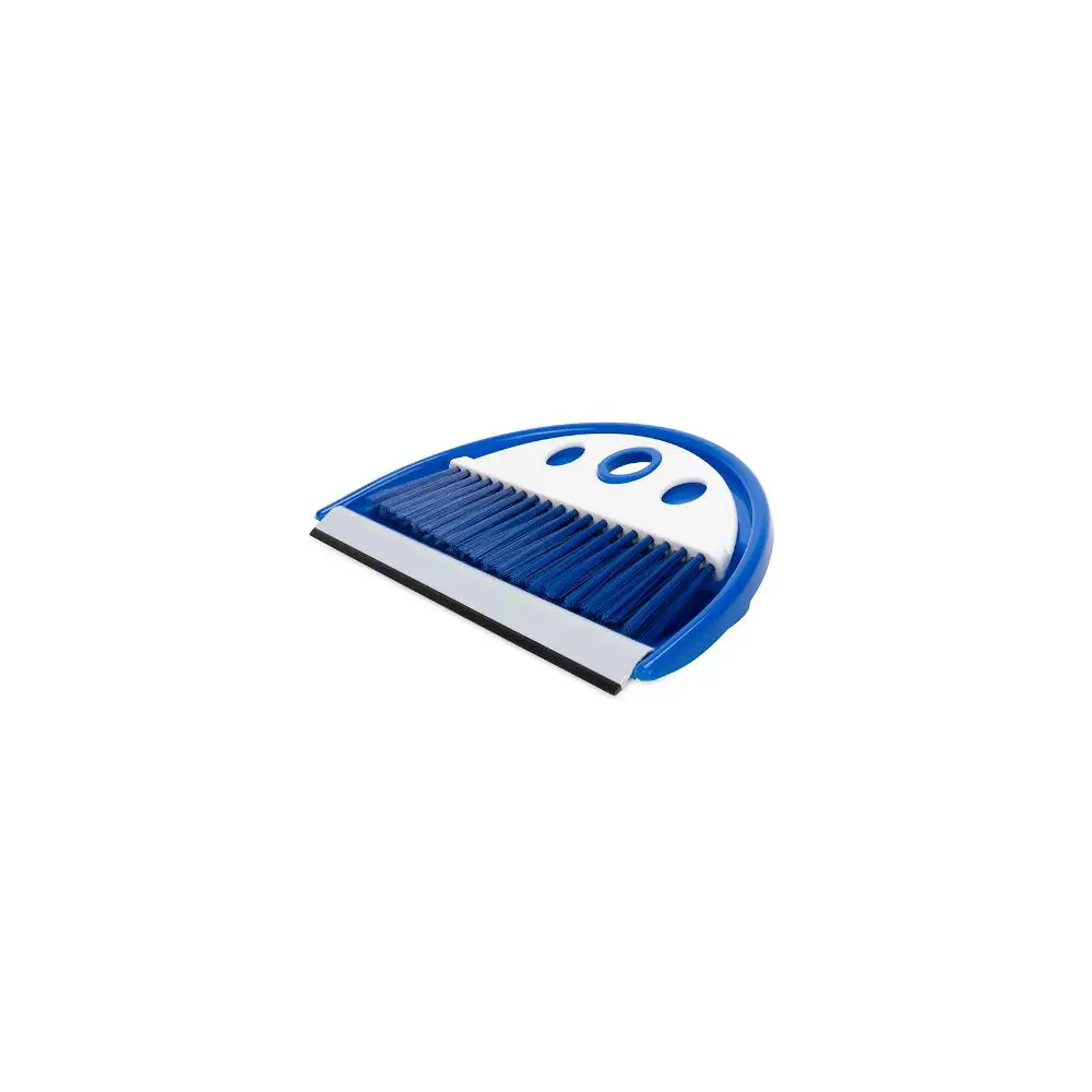 Dust Pan w/ Whisk Type Broom - CAM43945